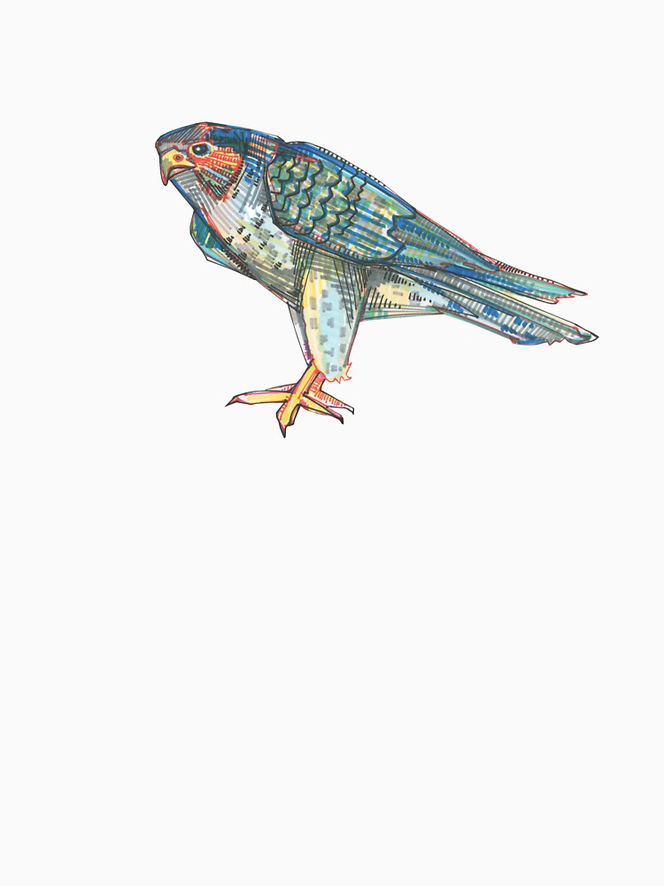 750x1000 Peregrine Falcon Drawing - Peregrine Falcon Drawing