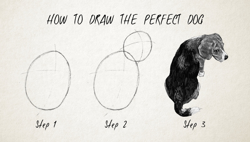 800x455 mr freeland design how to draw the perfect dog - Perfect Drawing