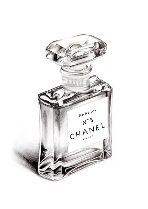 564x798 this is a really strong realistic drawing of a perfum bottle as it - Perfume Bottle Drawing