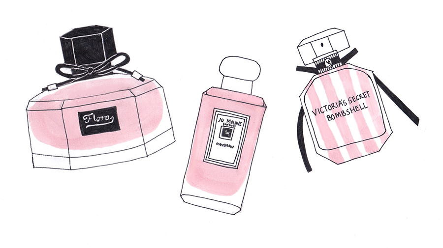 900x505 bear + crocodile drawing favourite summer perfumes - Perfume Drawing