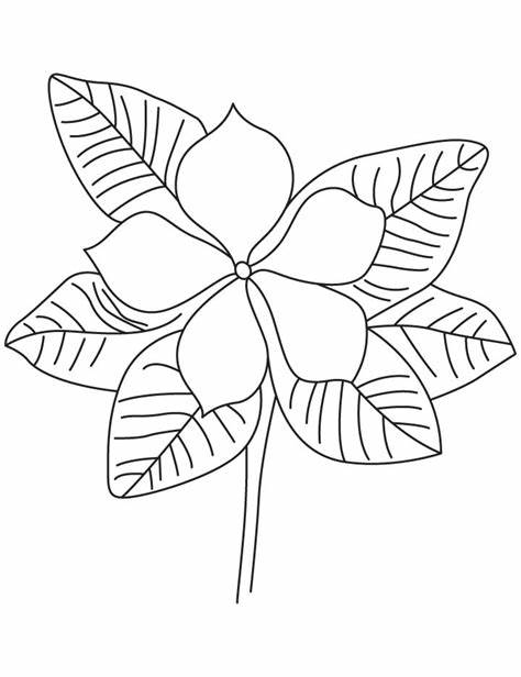 474x616 Periwinkle Flower Drawing Periwinkle Flower Top View Clip - Periwinkle Flower Drawing