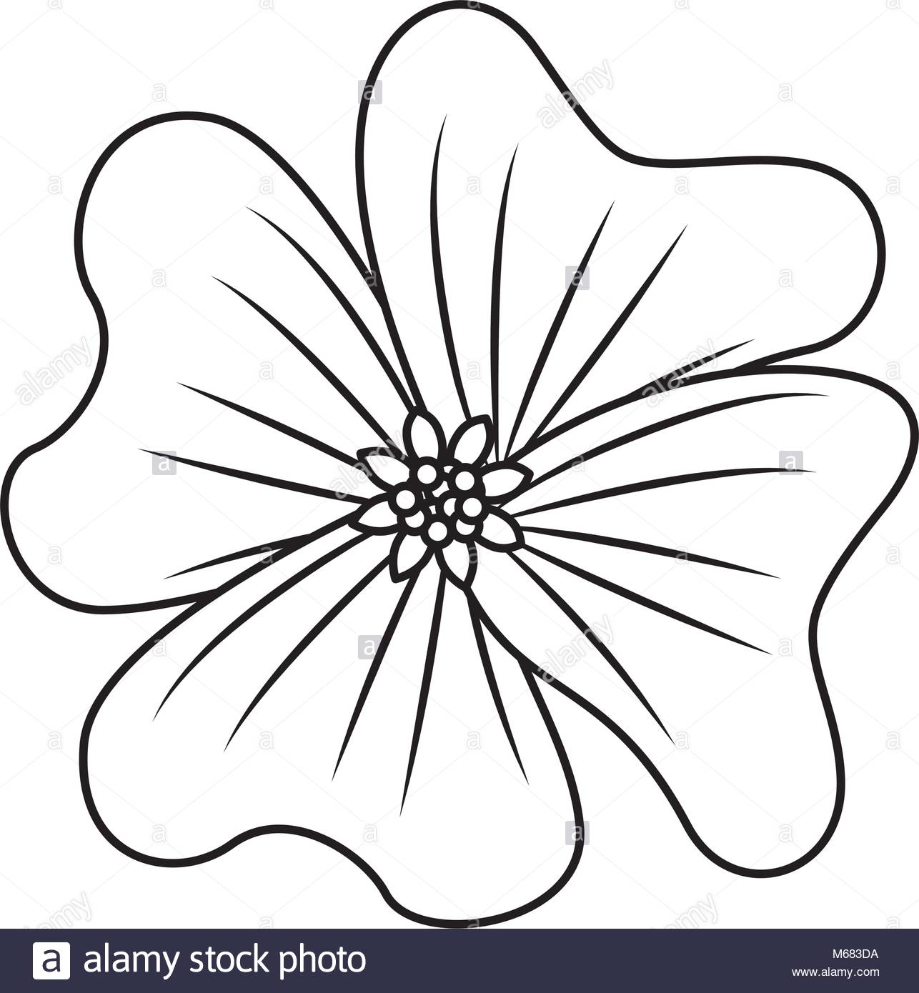 1286x1390 Periwinkle Flower Drawing - Periwinkle Flower Drawing