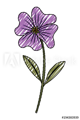 334x500 cute flower periwinkle petals leaves stem icon vector illustration - Periwinkle Flower Drawing