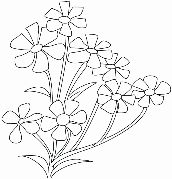 600x625 Flower Border Coloring Pages Periwinkle Flower Drawing - Periwinkle Flower Drawing