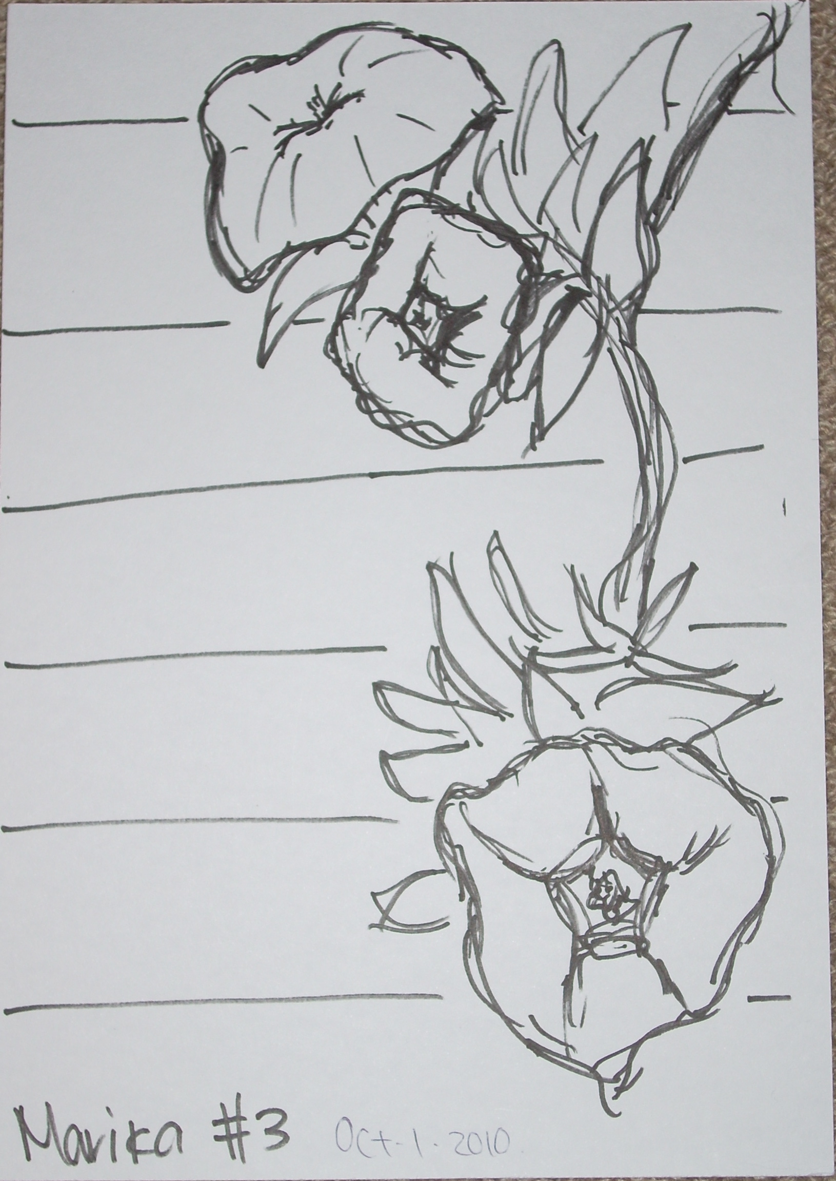 1630x2301 igcse art permanent marker jasminetea - Permanent Marker Drawings