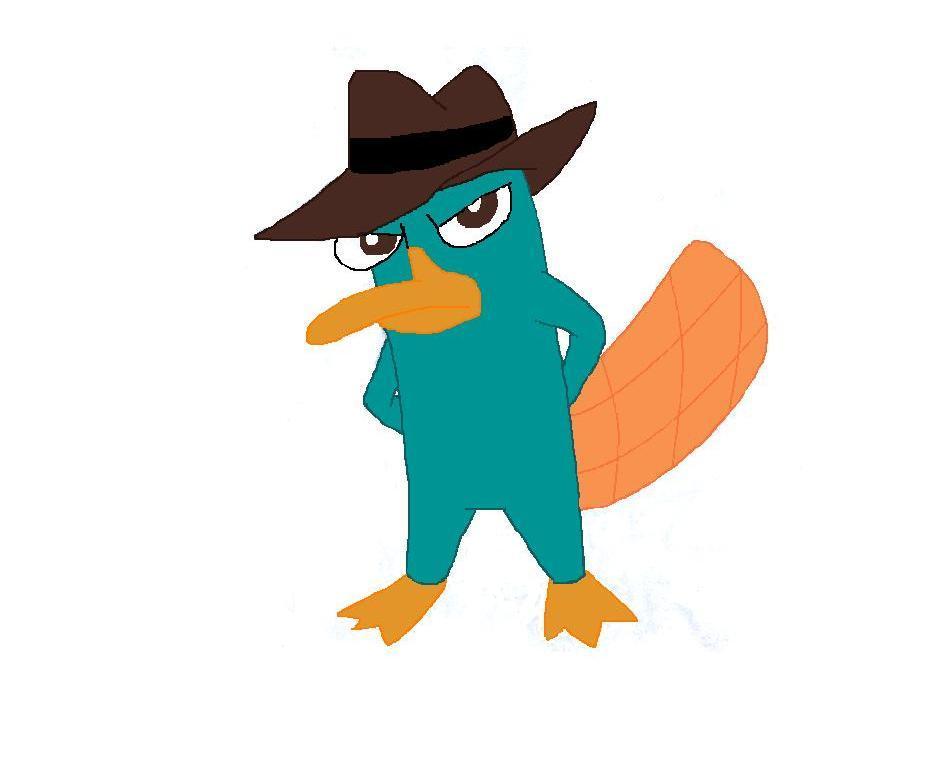 926x770 Perry The Platypus Images My Drawing Of Perry Hd Wallpaper - Perry...
