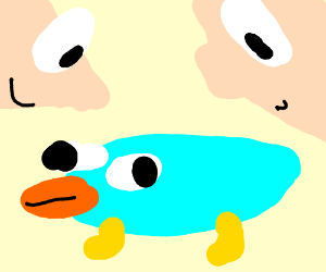 300x250 perry the platypus drawing - Perry Platypus Drawing