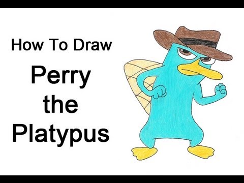 480x360 how to draw perry the platypus - Perry The Platypus Drawing