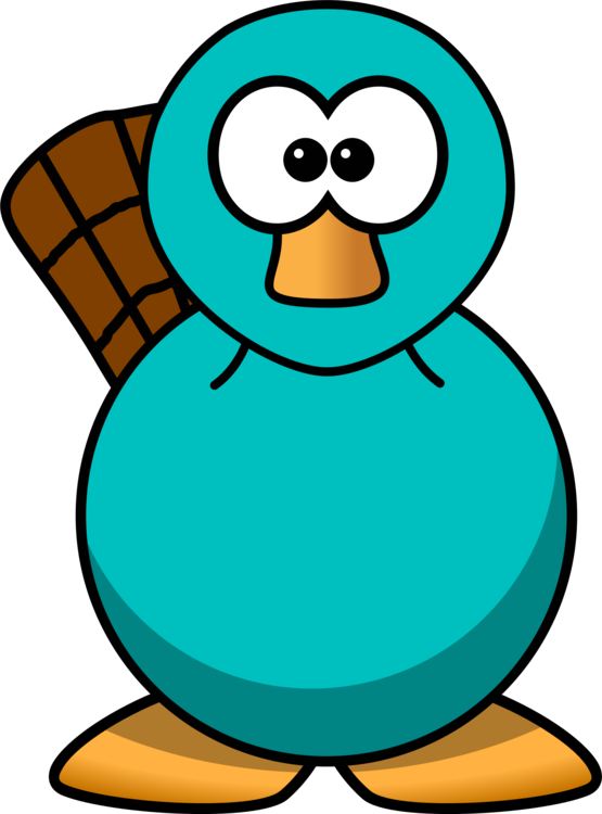 555x750 perry the platypus cartoon beaver drawing cc0 - Perry The Platypus Drawing