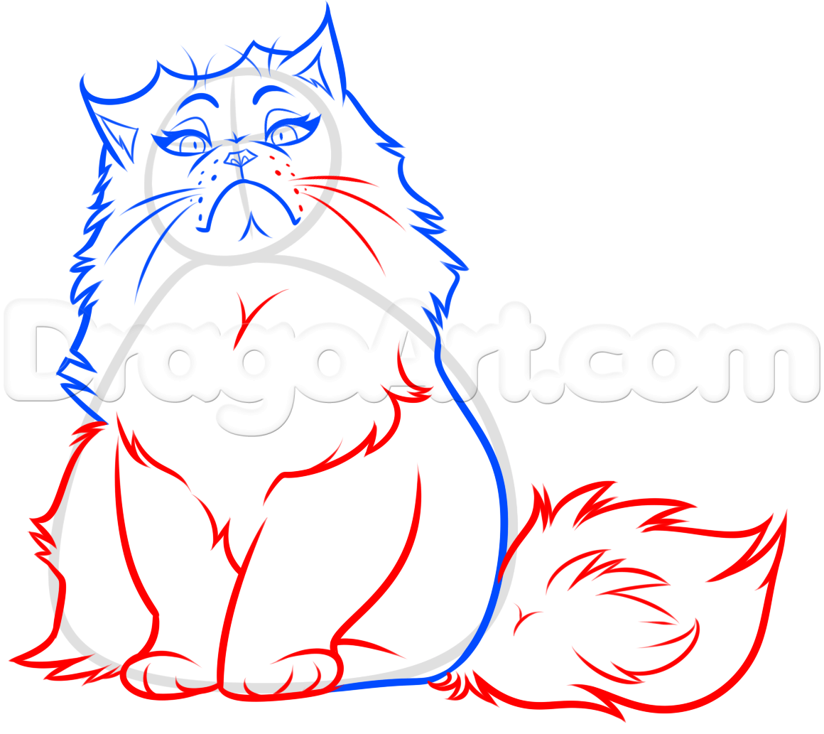 1160x1033 how to draw a persian cat, step - Persian Cat Drawing