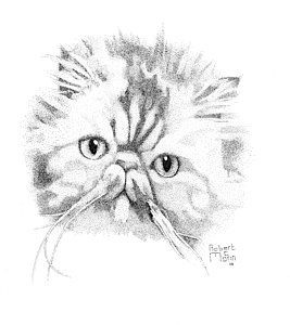 267x300 persian cat drawings fine art america - Persian Cat Drawing