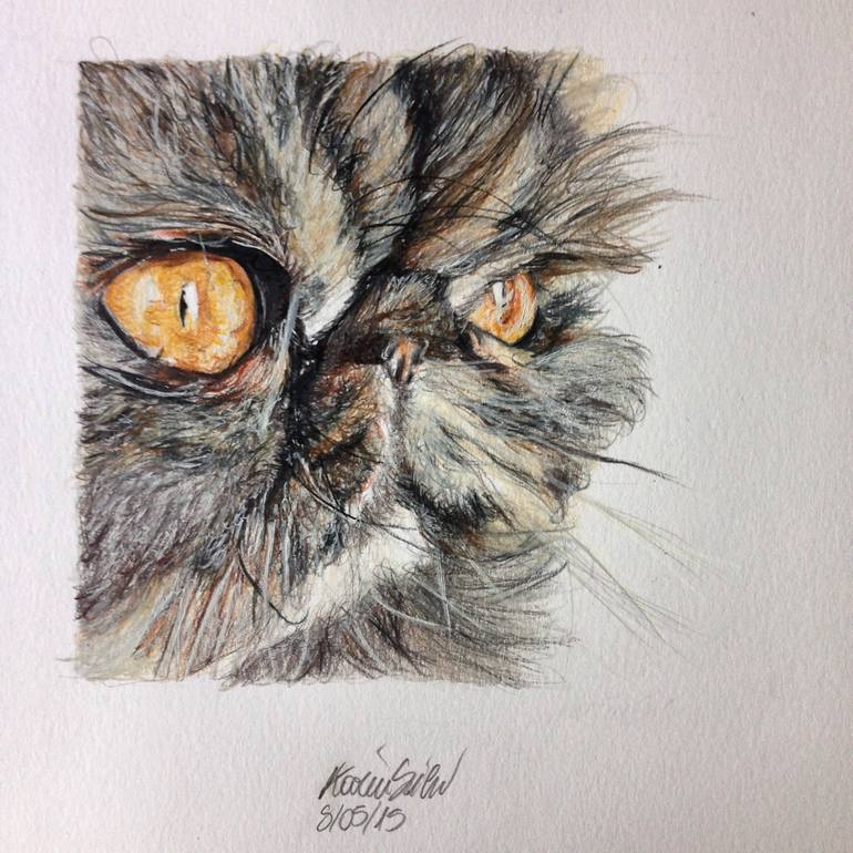 770x770 persian cat drawing - Persian Cat Drawing