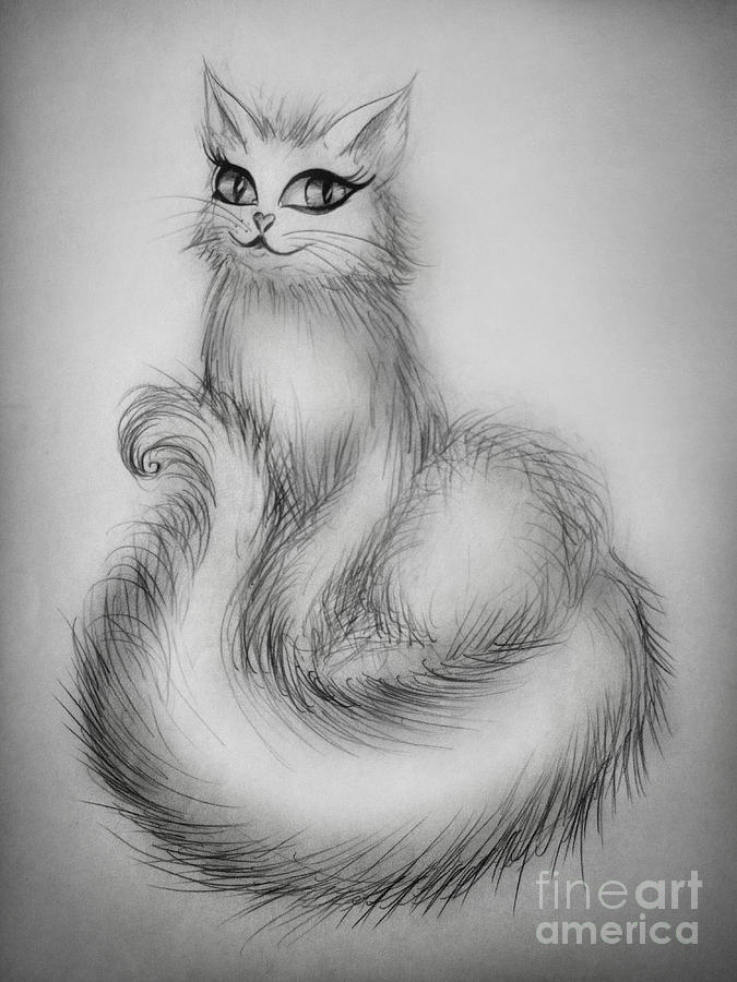 675x900 sarah the white persian cat drawing - Persian Cat Drawing