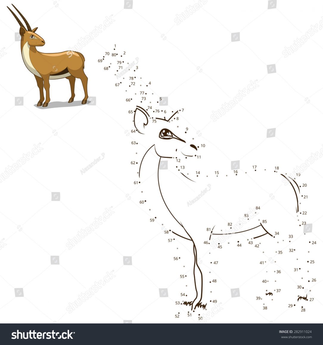 1084x1156 How To Draw A Animal Cell Step - Person Drawing A Picture