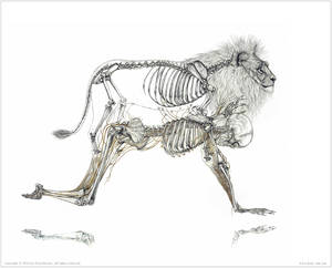 300x242 must become my shadow - Person Looking Down Drawing