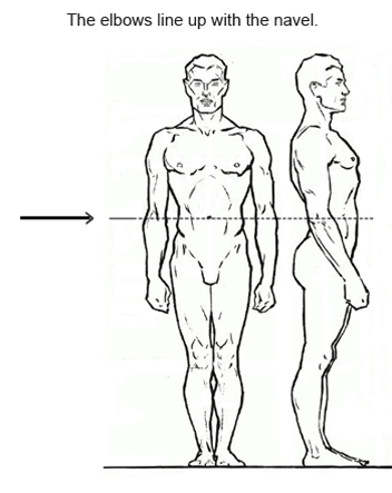 352x443 Figure Drawing Proportions To Know - Person Standing Drawing