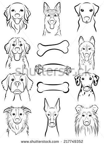 338x470 Dog Line Drawing Stock Photos, Images, Pictures Shutterstock - Personalized Dog Line Drawing Art