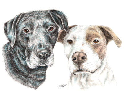 400x314 Custom Graphite Pet Drawing Cherie Taylor Studio - Personalized Drawing