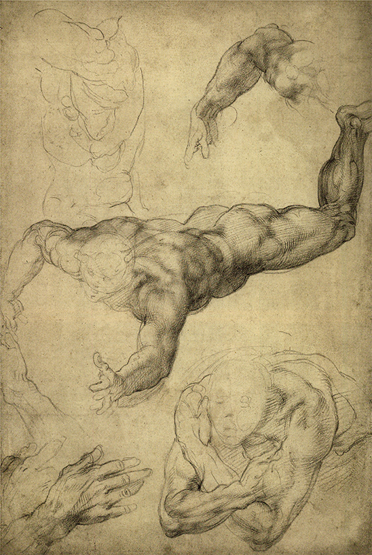 536x800 chapter two perspective, modeling the form contour - Perspective Figure Drawing