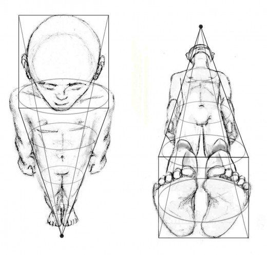 520x497 drawing the human figure perspective foreshortening - Perspective Figure Drawing