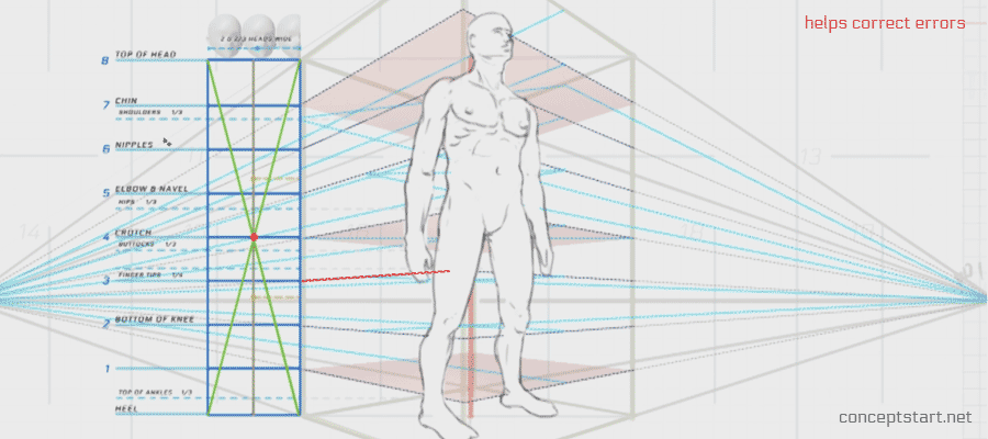 900x400 gesture, figure drawing human proportions - Perspective Figure Drawing