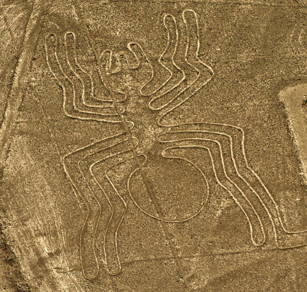 620x589 nazca lines were created to attract aliens to peru daily star - Peru Drawings