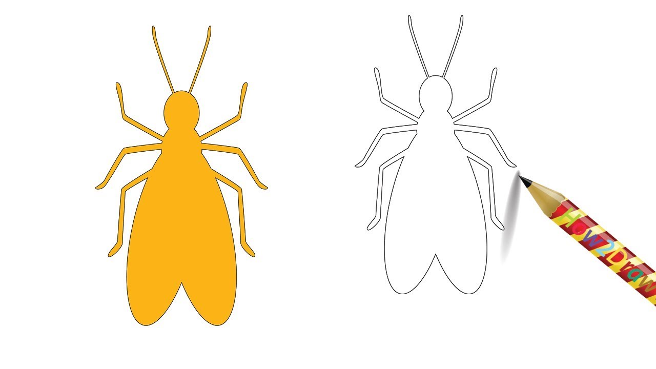 1280x720 how to draw a termite insect easy drawing - Pest Drawing