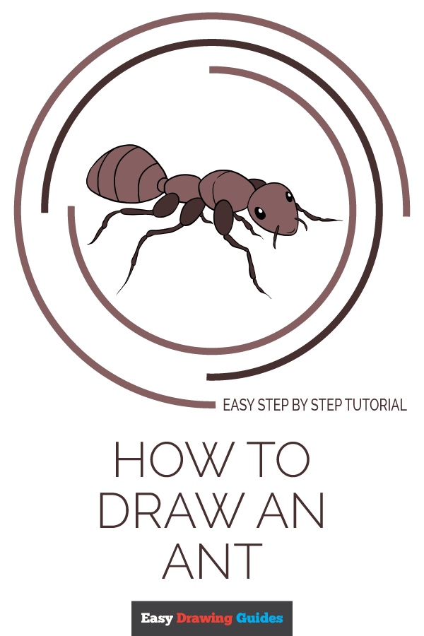 600x900 how to draw an ant - Pest Drawing