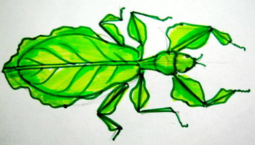 Pest Drawing at PaintingValley.com | Explore collection of Pest Drawing