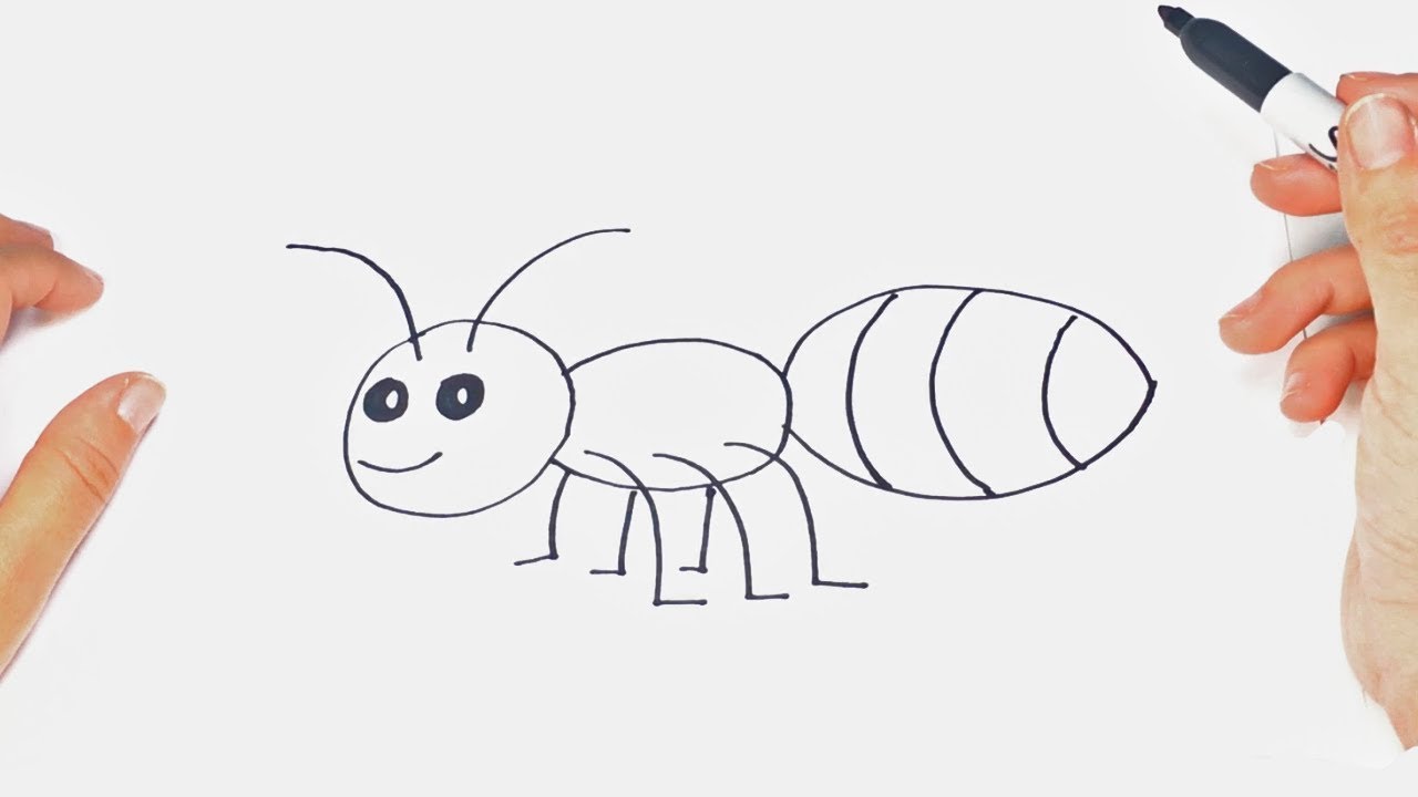 1280x720 how to draw an insect step - Pest Drawing