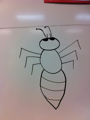 299x400 drawing and labeling an insect - Pest Drawing