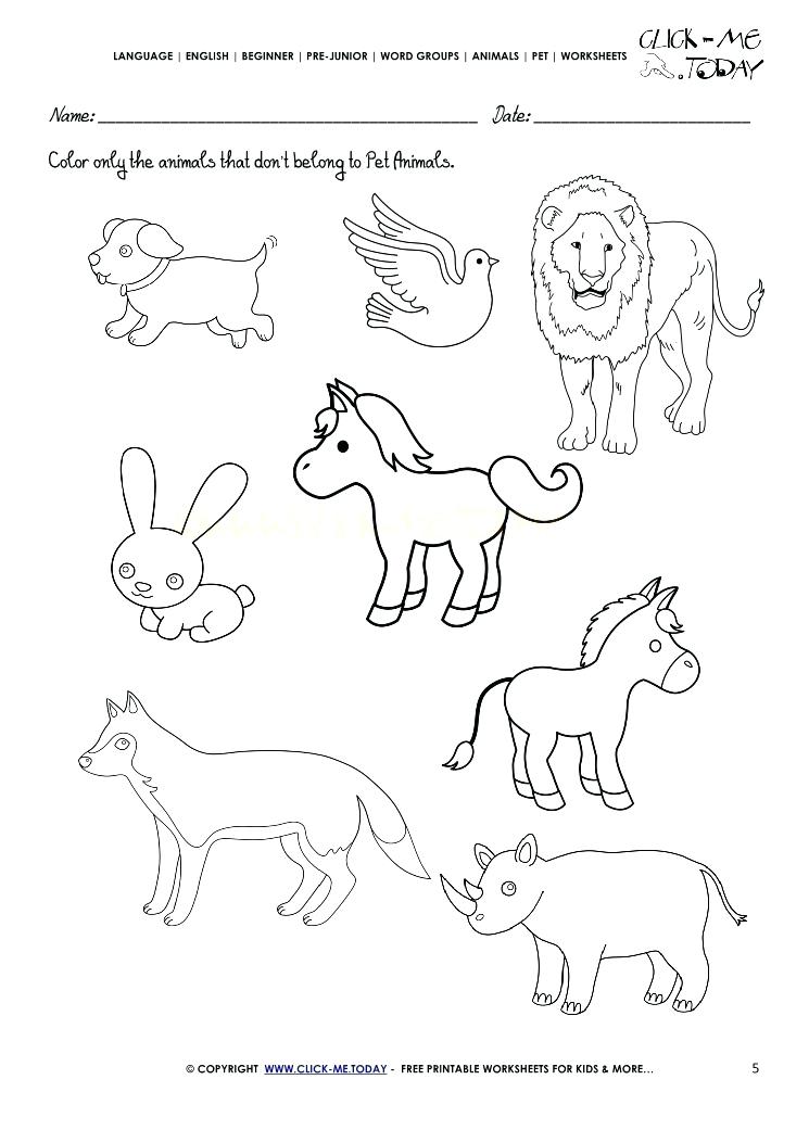 Pet Animals Drawing at PaintingValley.com | Explore collection of Pet ...