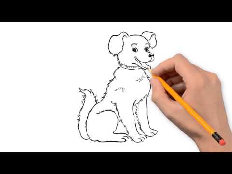 480x360 Dog Animals Pencil To Draw Step - Pet Animals Drawing