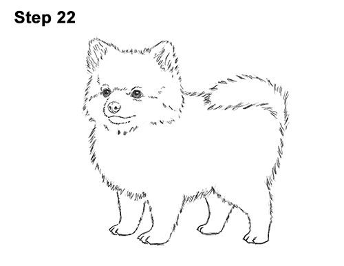 500x386 How To Draw A Dog - Pet Drawing