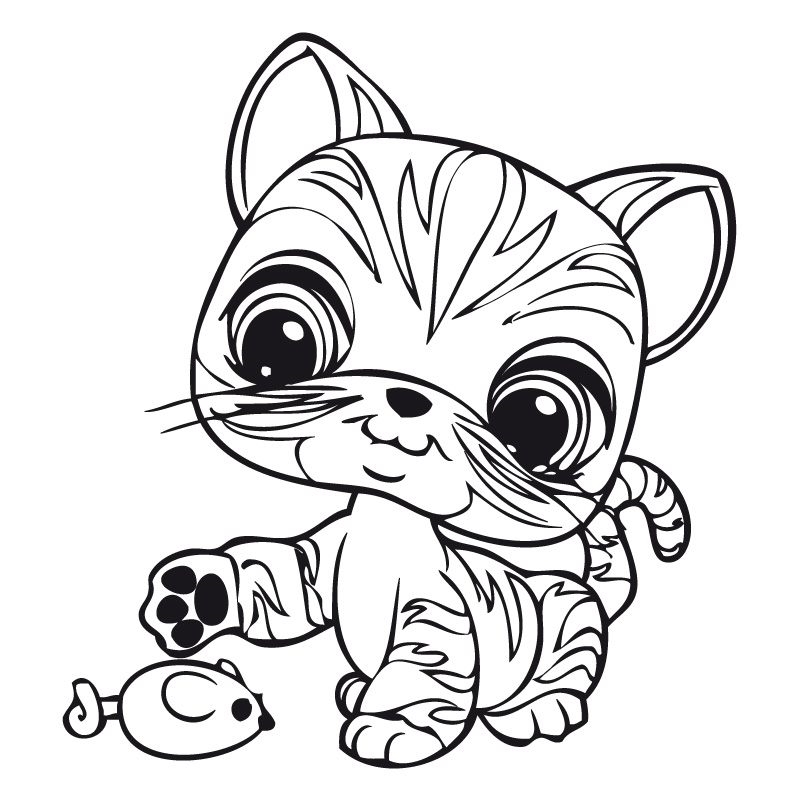 800x800 Littlest Pet Shop Drawing - Pet Shop Drawing