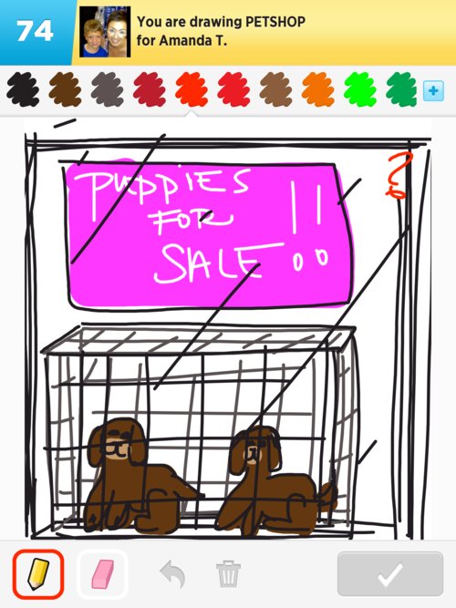 500x667 Petshop Drawings - Pet Shop Drawing