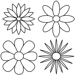 260x260 repeating the petal pattern to reveal four different kinds - Petal Drawing
