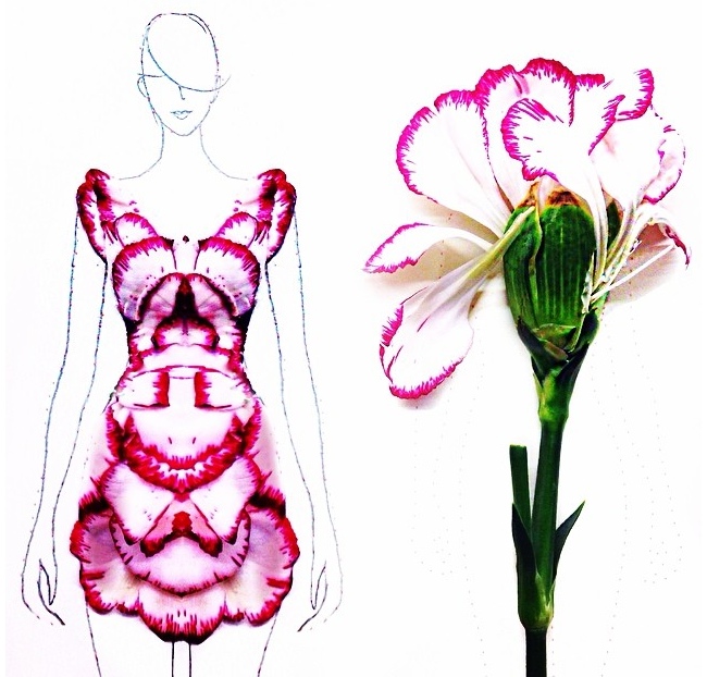 650x622 fashion illustrator turns flower petals into gorgeous dresses - Petal Drawing