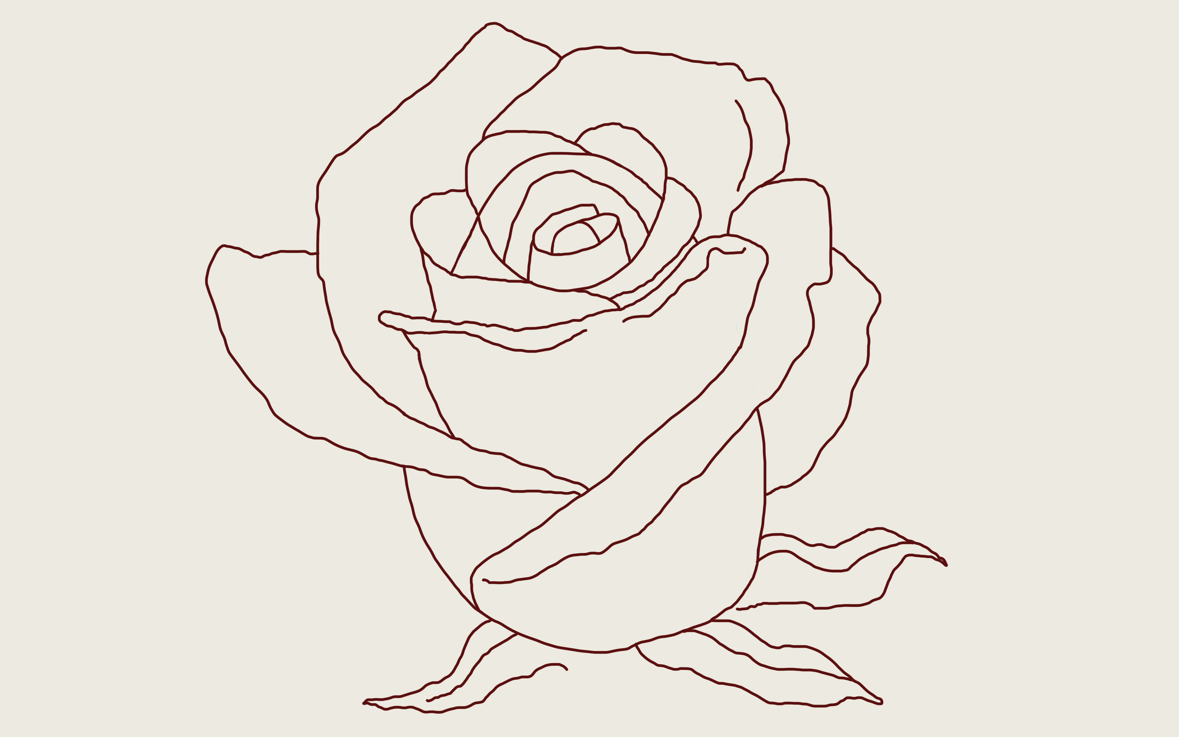 Роза с боку рисунок
