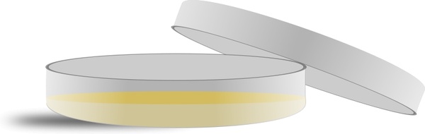 600x190 Petri Dish Free Vector In Open Office Drawing - Petri Dish Drawing