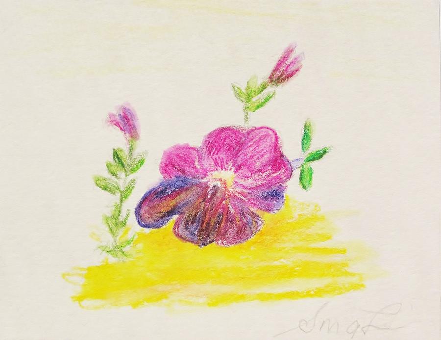 900x693 Petunia Drawing - Petunia Drawing