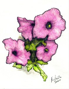 235x300 petunia drawings pixels - Petunia Drawing