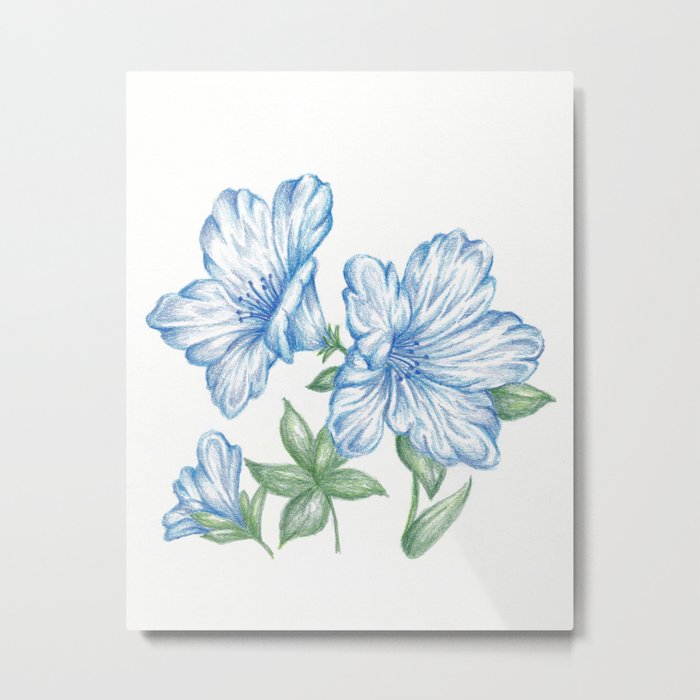 700x700 flower drawing print blue, azalea botanical art metal print - Petunia Flower Drawing