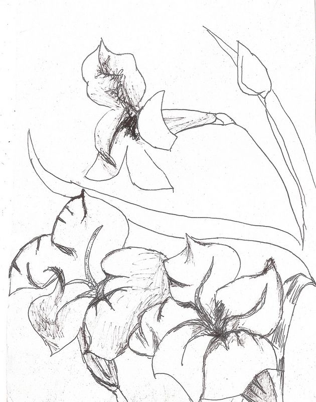 630x800 Petunia Drawing Sketch For Free Download - Petunia Flower Drawing. 