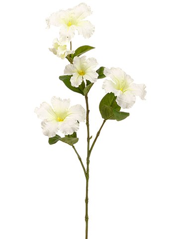 360x480 Petunia Spray White - Petunia Flower Drawing