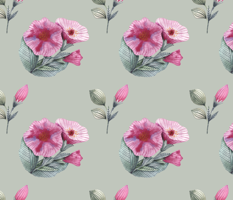 470x402 Watercolor Hand Drawing Of Petunia Flowers Wallpaper - Petunia Flower Drawing