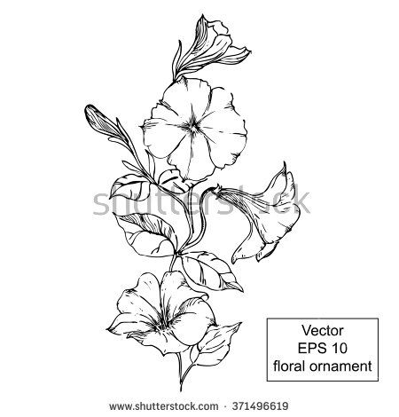 450x470 best petunia tattoo ideas violet tattoo, pink flower tattoos - Petunia Flower Drawing