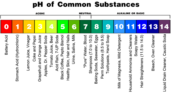 Ph Scale Drawing at PaintingValley.com | Explore collection of Ph Scale ...