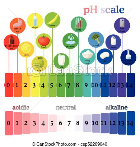 Ph Scale Drawing at PaintingValley.com | Explore collection of Ph Scale ...