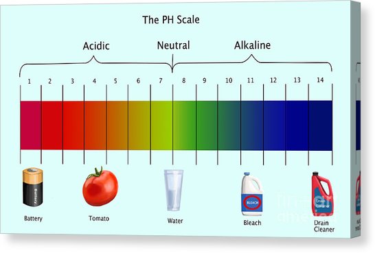 546x369 scale drawing canvas prints - Ph Scale Drawing